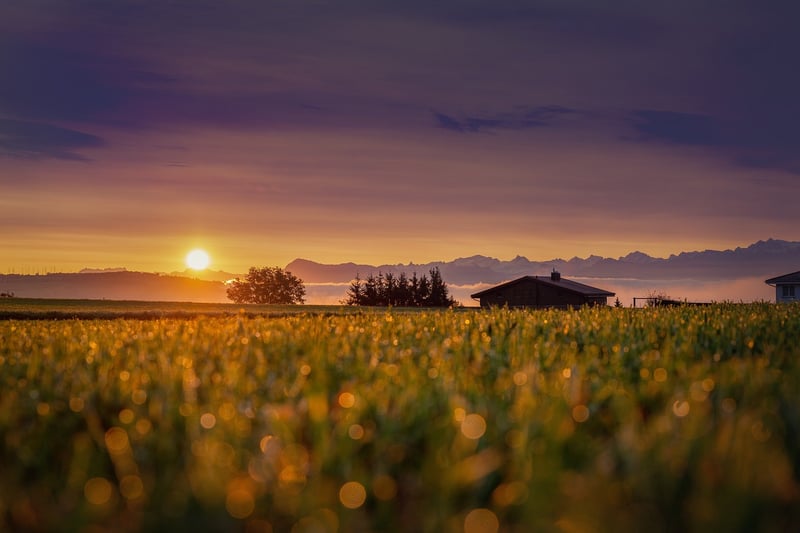 Rustic Lodge Image